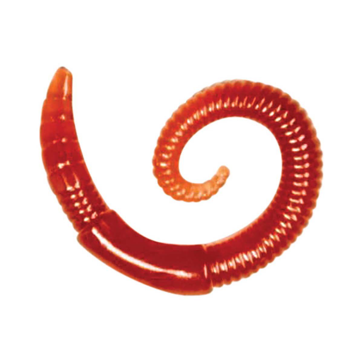 S/M/L Size Worm Box Breathable bait box Brethable worm Plastic