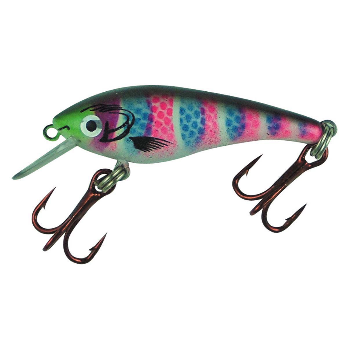 5 Must-Have Trout Lures for Any Season