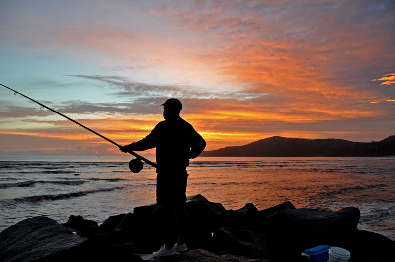  Low light period are great for catching Tailor