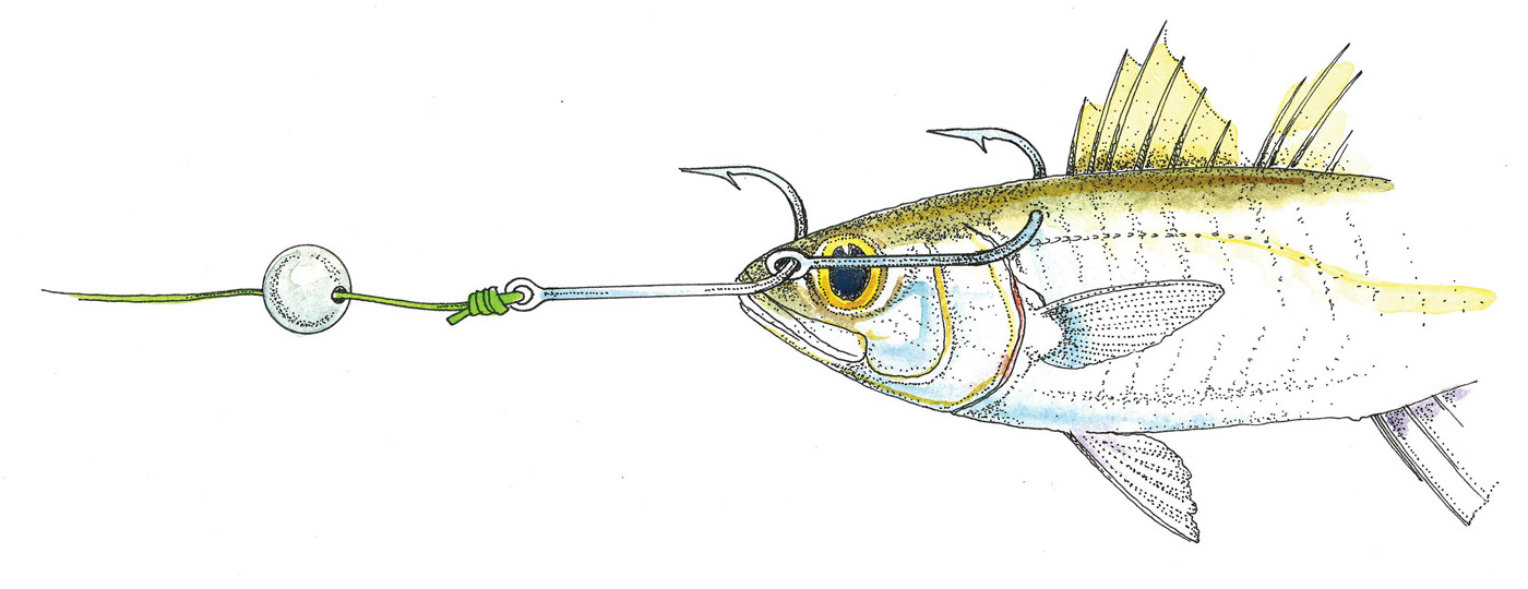 7ft braided castnet for fishing crabbing prawning bait fish squid