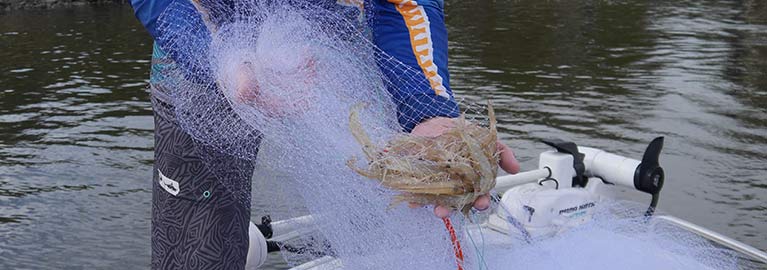 Digs Prawning Cast Nets