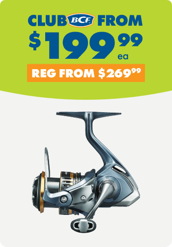 Shimano Ultegra Reels