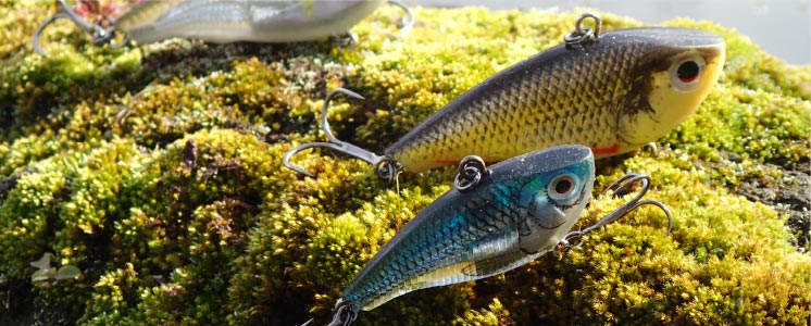 LURE FISHING WITH SOFT VIBES IN CREEKS-BARRAMUNDI-THREADFIN SALMON