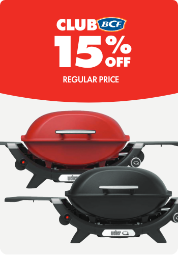 Weber Q2000N BBQs